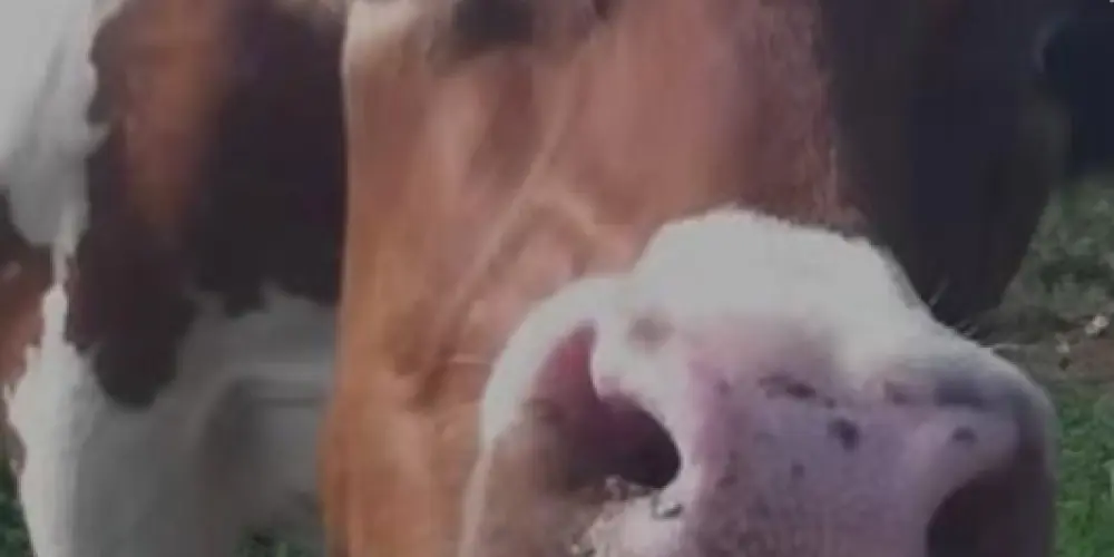 Imagem do grupo de WhatsApp ÁLĖÅTØRĪ∅$    🎭💥🔥