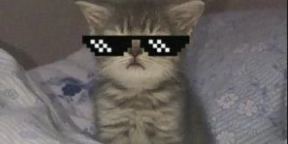 Imagem do grupo de WhatsApp Aleatório 2