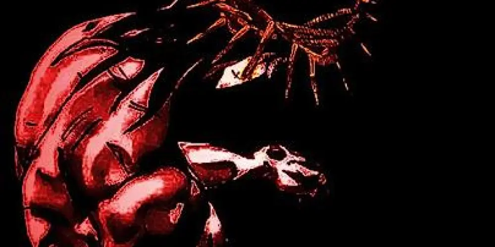 Imagem do grupo de WhatsApp ALEATORIOS