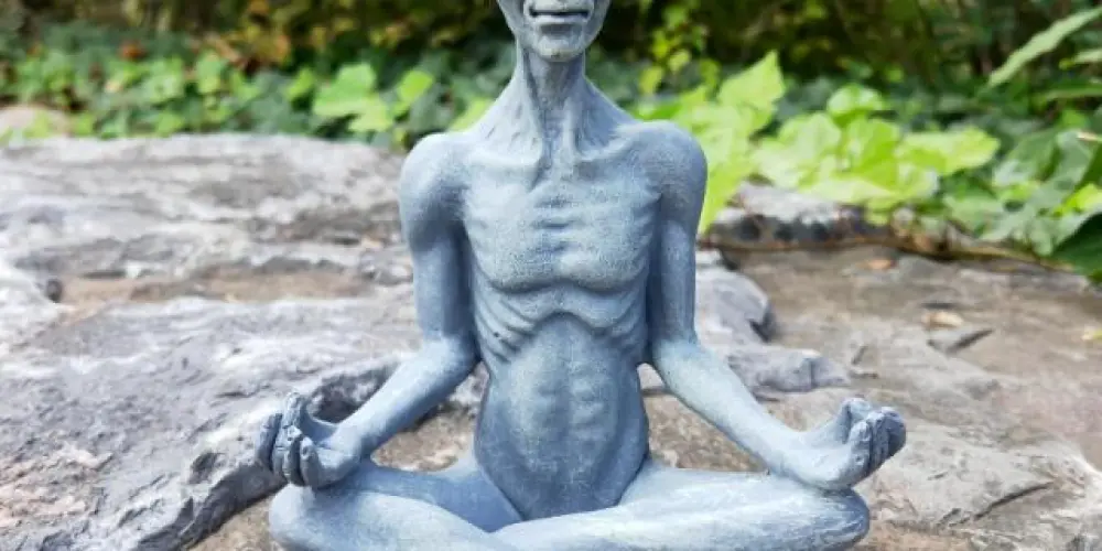 Imagem do grupo de WhatsApp Alienzentoid👺👽🤡