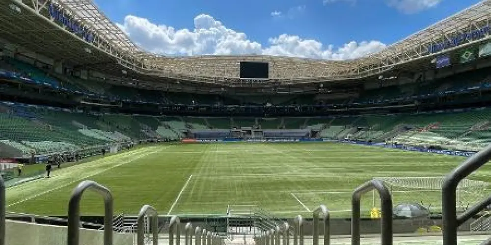 Imagem do grupo de WhatsApp Allianz parque