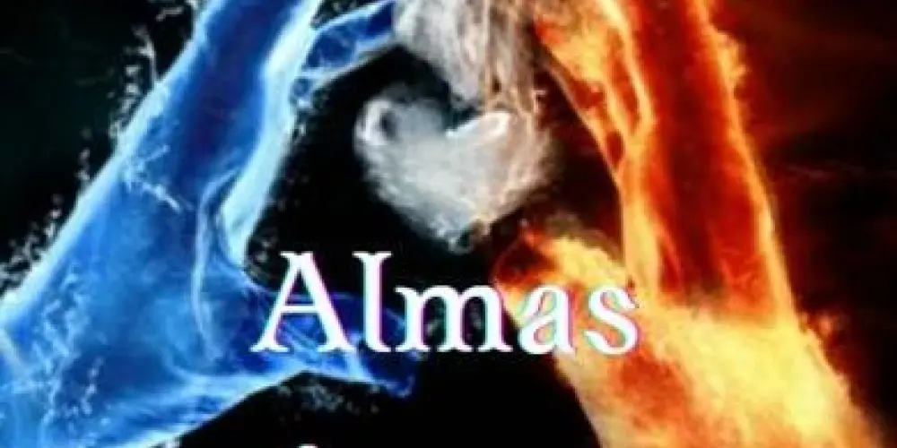 Imagem do grupo de WhatsApp ALMA GEMEAS