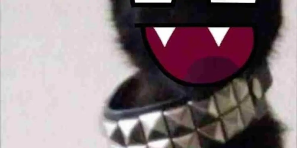 Imagem do grupo de WhatsApp Alternativos ⚔️🕷