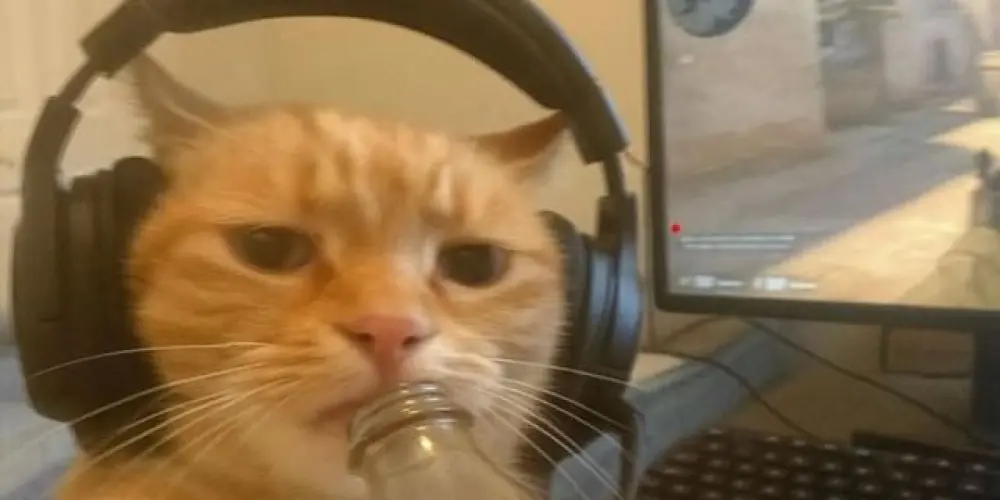 Imagem do grupo de WhatsApp ALUGUEL DO MLZ