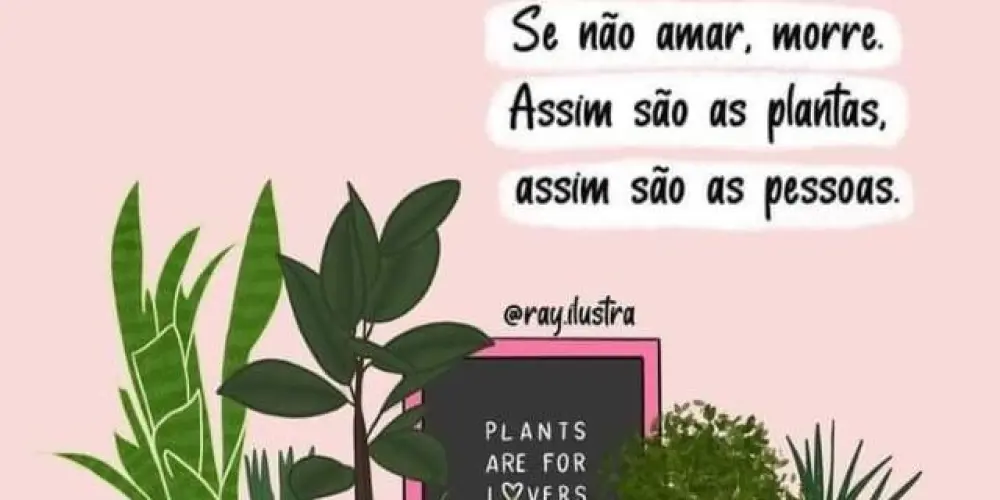 Imagem do grupo de WhatsApp Amantes de plantas. Doação, vendas, fotos etc  (apenas de plantas) 💚🪴🍃