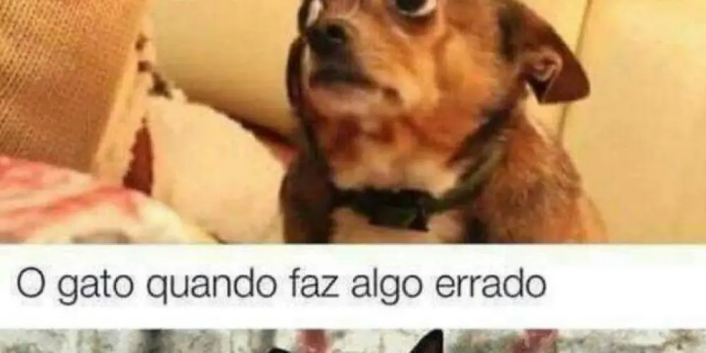 Imagem do grupo de WhatsApp 🖤☯️ Ambiente Virtual 🍀🧿