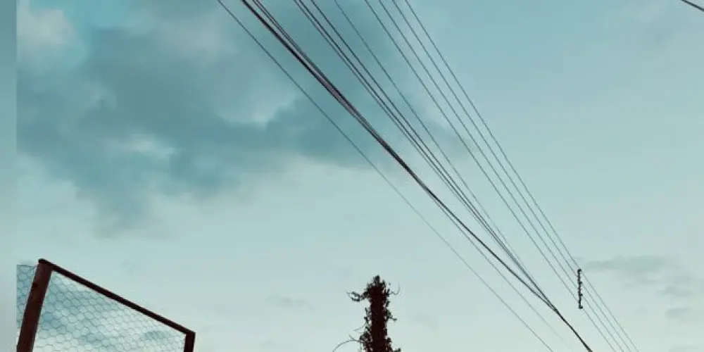 Imagem do grupo de WhatsApp Amgs 💖