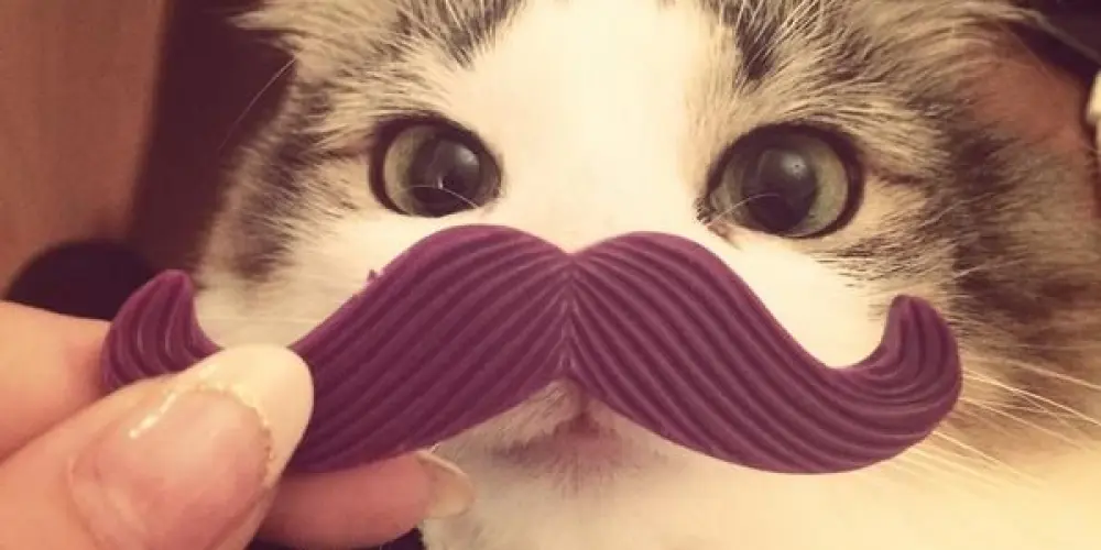 Imagem do grupo de WhatsApp amgss!