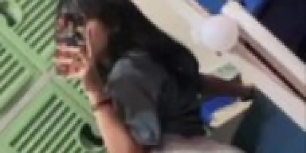 Imagem do grupo de WhatsApp AMIGA DIVAGAZINHO😈