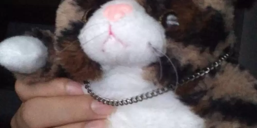 Imagem do grupo de WhatsApp Amigar :D