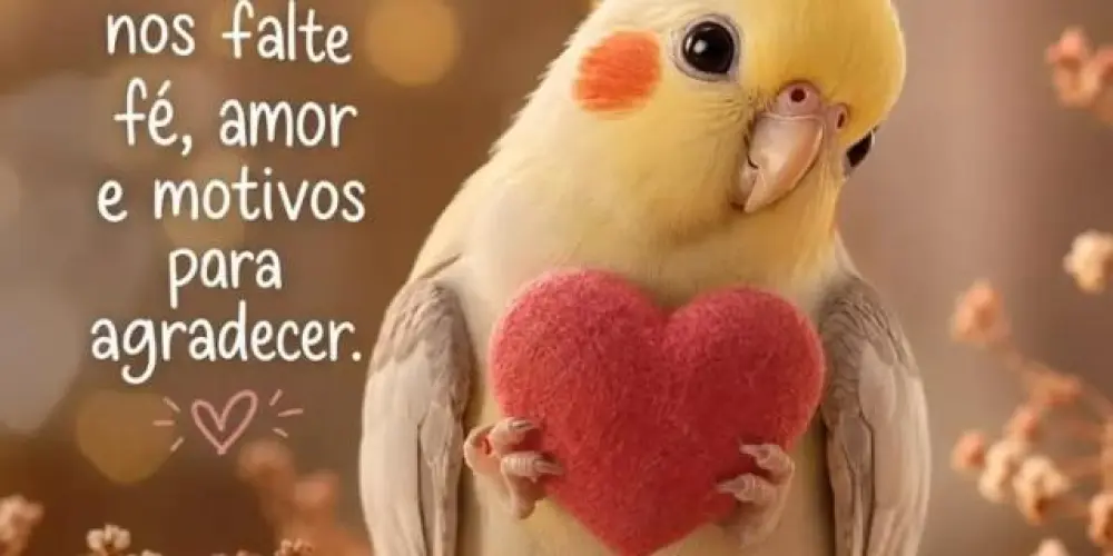 Imagem do grupo de WhatsApp Amigas