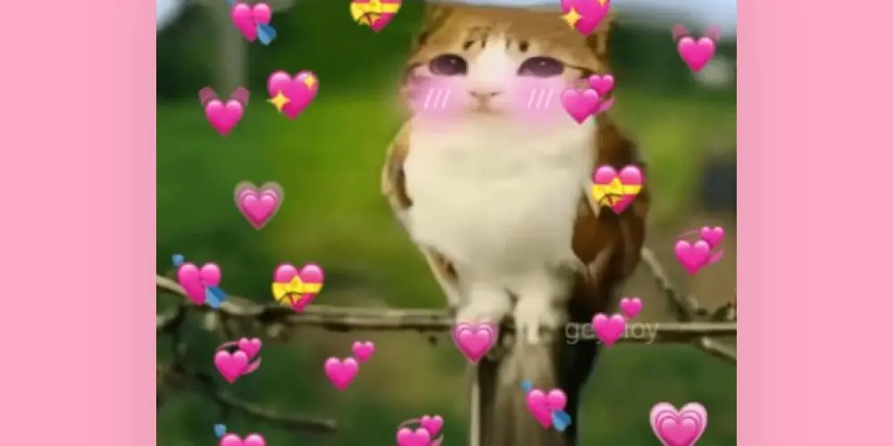 Imagem do grupo de WhatsApp amigdos