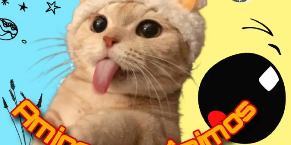 Imagem do grupo de WhatsApp 💋  ፝⃟༘Amigo𝖘 Anônimos  ፝⃟༘💋 ᜴⃕