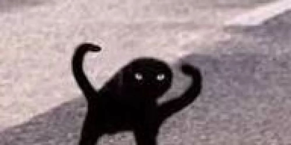 Imagem do grupo de WhatsApp Amigonhos