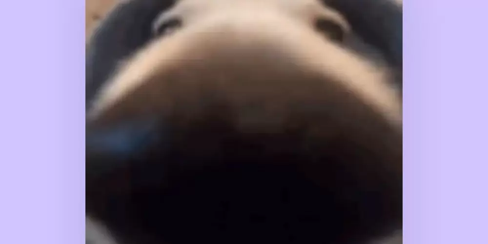 Imagem do grupo de WhatsApp Amigos 😁