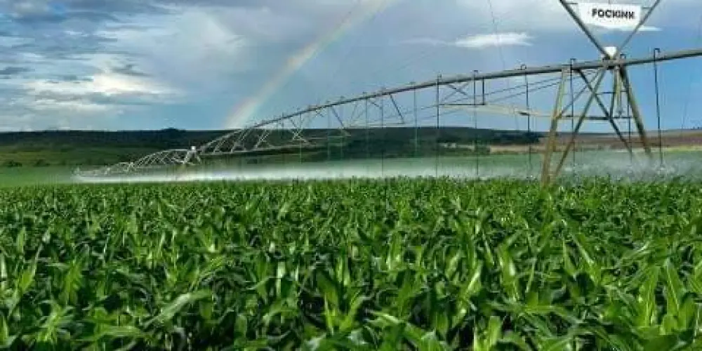 Imagem do grupo de WhatsApp Amigos