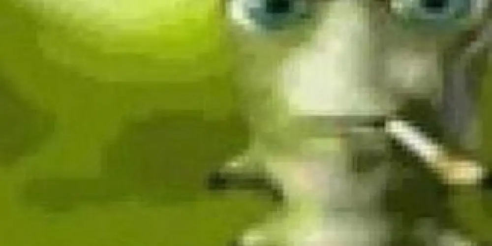 Imagem do grupo de WhatsApp Amigos