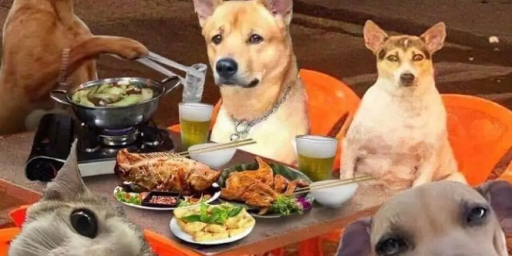 Imagem do grupo de WhatsApp Amigos🤍.