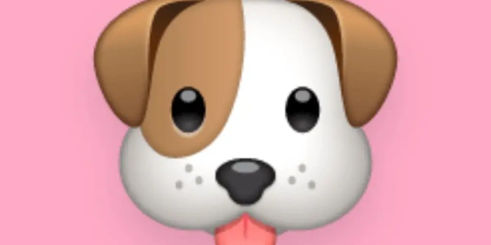 Imagem do grupo de WhatsApp Amigos