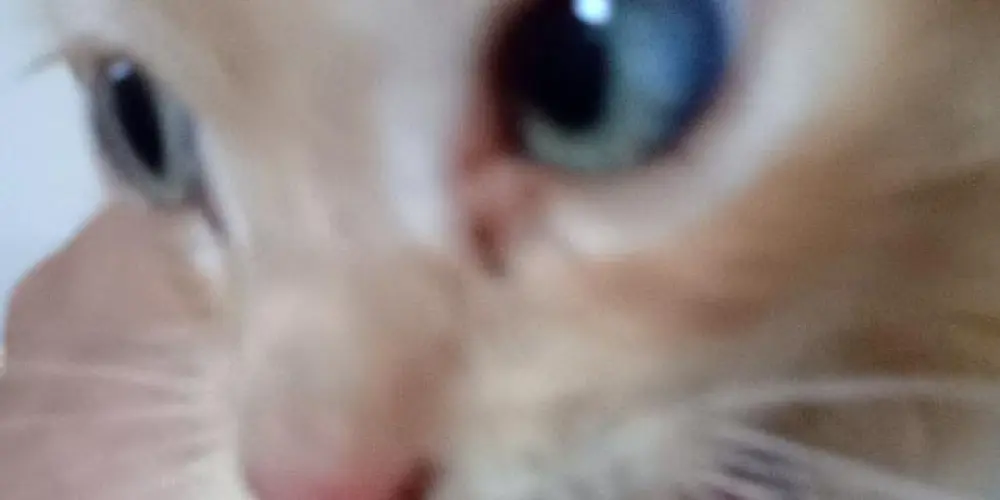 Imagem do grupo de WhatsApp AMIGOS 🇦🇷/🇧🇷