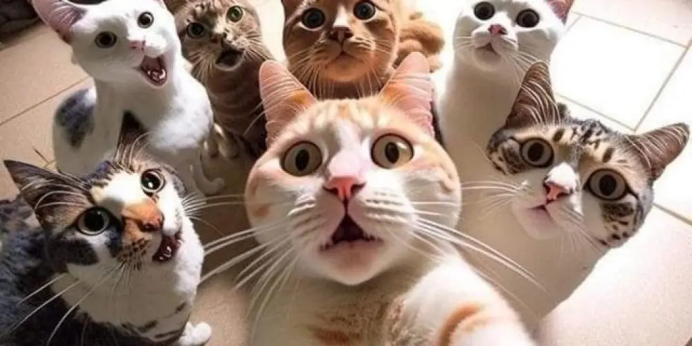 Imagem do grupo de WhatsApp Amigos🫶♥️⭐