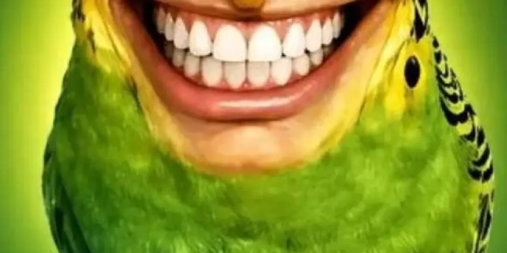 Imagem do grupo de WhatsApp [AMIGOS]★ ♥︎