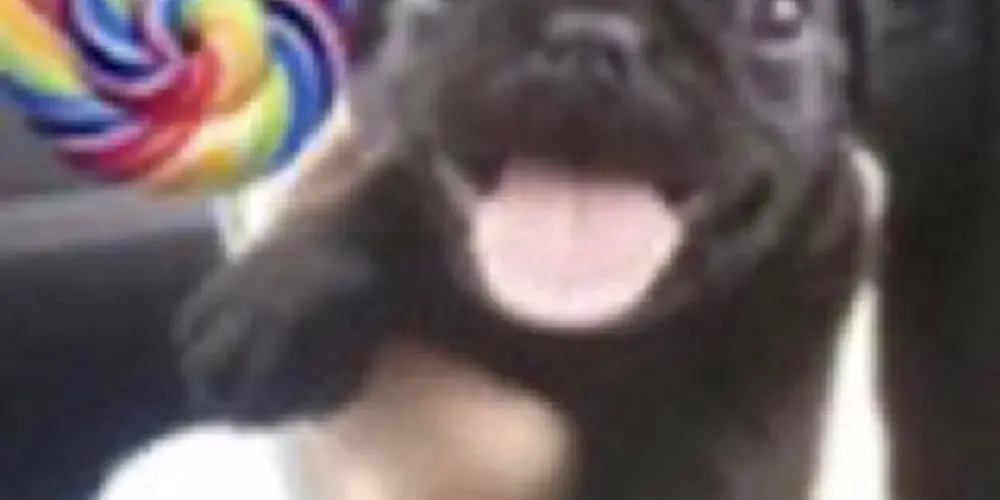 Imagem do grupo de WhatsApp amigos amizade eba