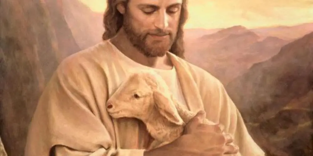 Imagem do grupo de WhatsApp Amigos Cristãos