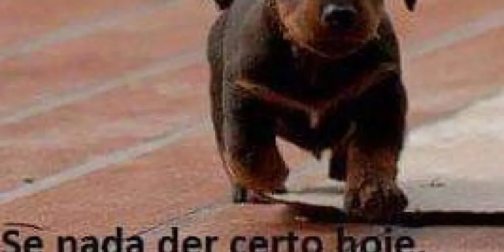 Imagem do grupo de WhatsApp AMIGOS DA BELINHA