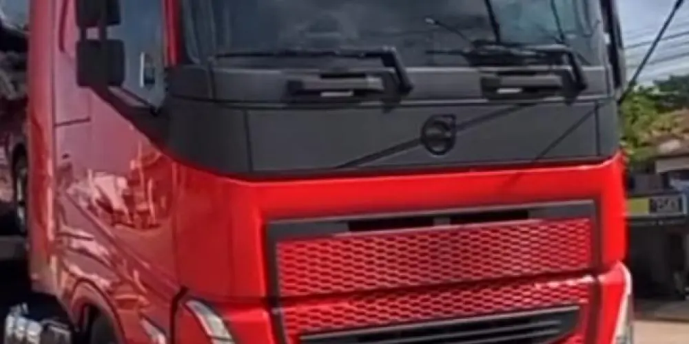 Imagem do grupo de WhatsApp AMIGOS DA BR