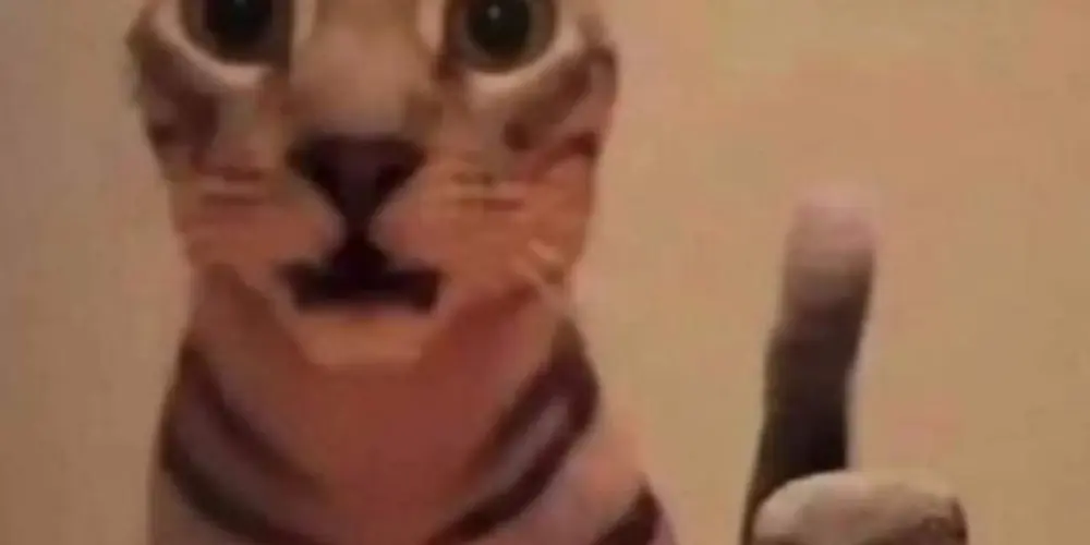 Imagem do grupo de WhatsApp Amigos da Net