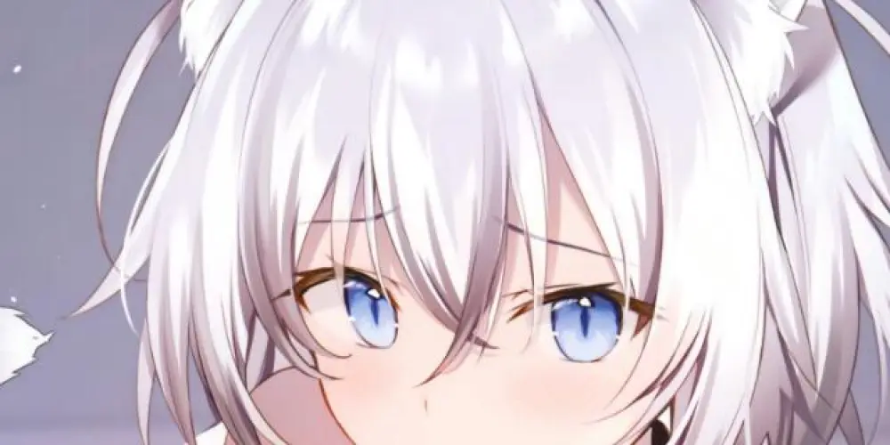 Imagem do grupo de WhatsApp amigos da noite