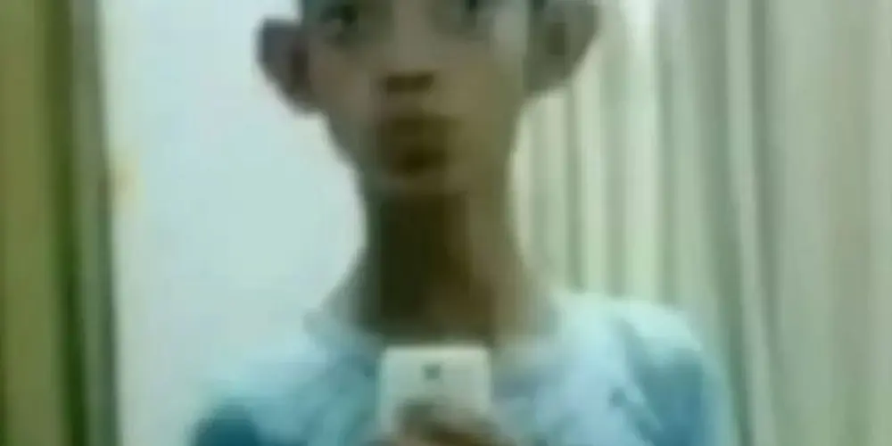 Imagem do grupo de WhatsApp amigos da onça
