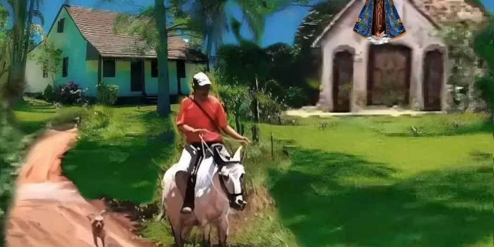 Imagem do grupo de WhatsApp AMIGOS DA ROÇA🚜🏇