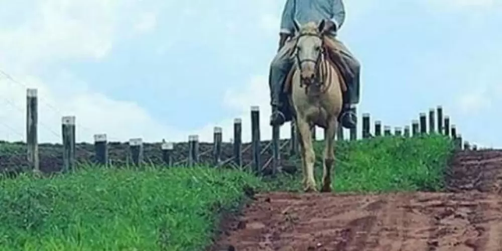 Imagem do grupo de WhatsApp AMIGOS DA ROÇA🏇🏾🚜