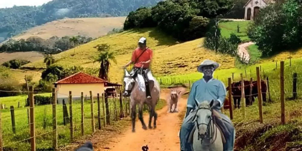 Imagem do grupo de WhatsApp 🌻AMIGOS DA ROÇA🌻