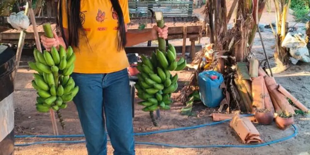 Imagem do grupo de WhatsApp Amigos da Roça 👩🏻‍🌾🧑🏼‍🌾
