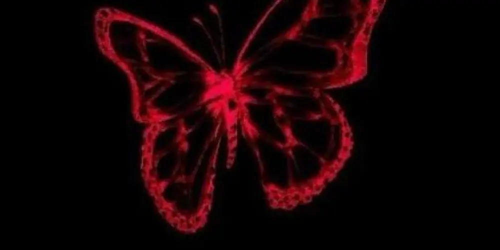 Imagem do grupo de WhatsApp Amigos da vida 😃👍