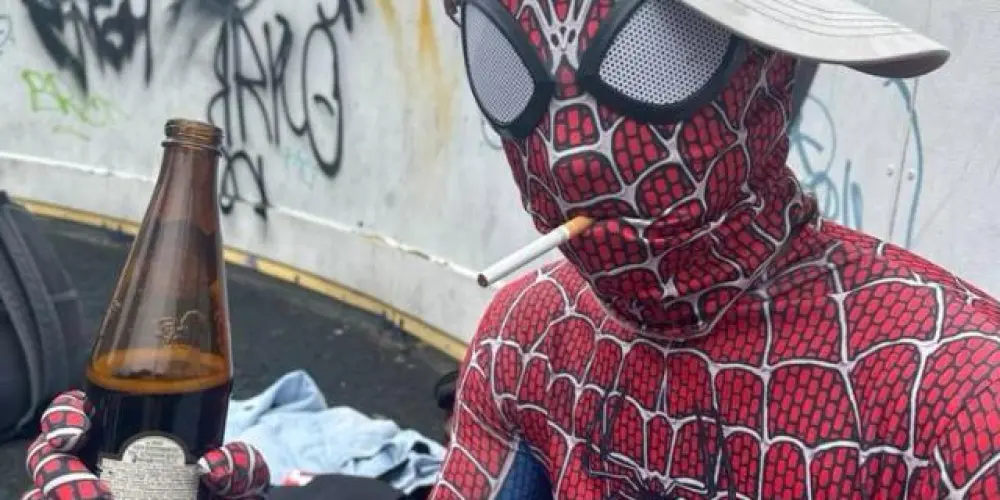 Imagem do grupo de WhatsApp Amigos da vizinhança 🕷️🕸️