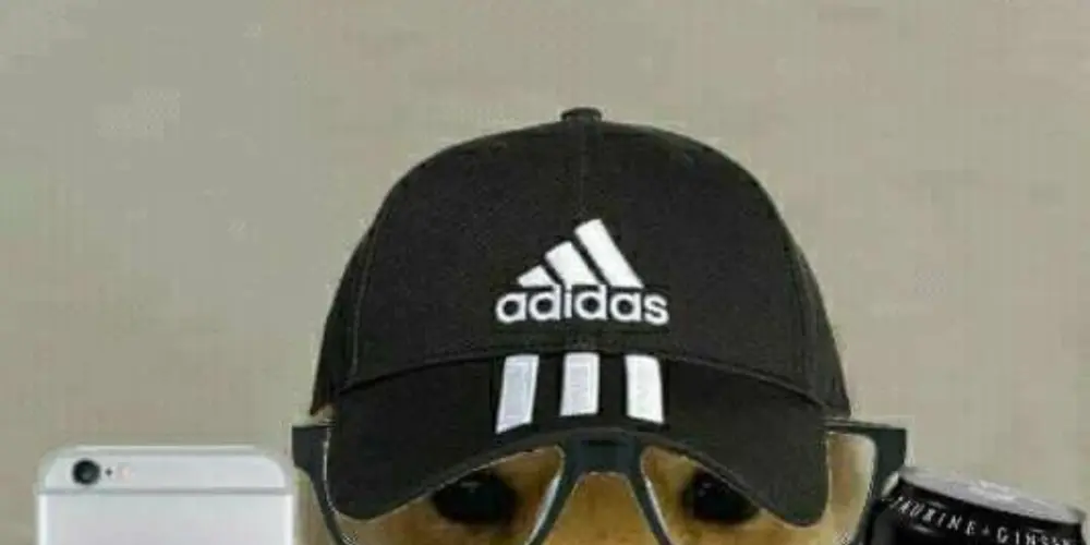 Imagem do grupo de WhatsApp Amigos da Web