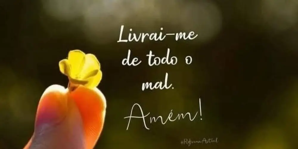 Imagem do grupo de WhatsApp Amigos da zoeira 🤪
