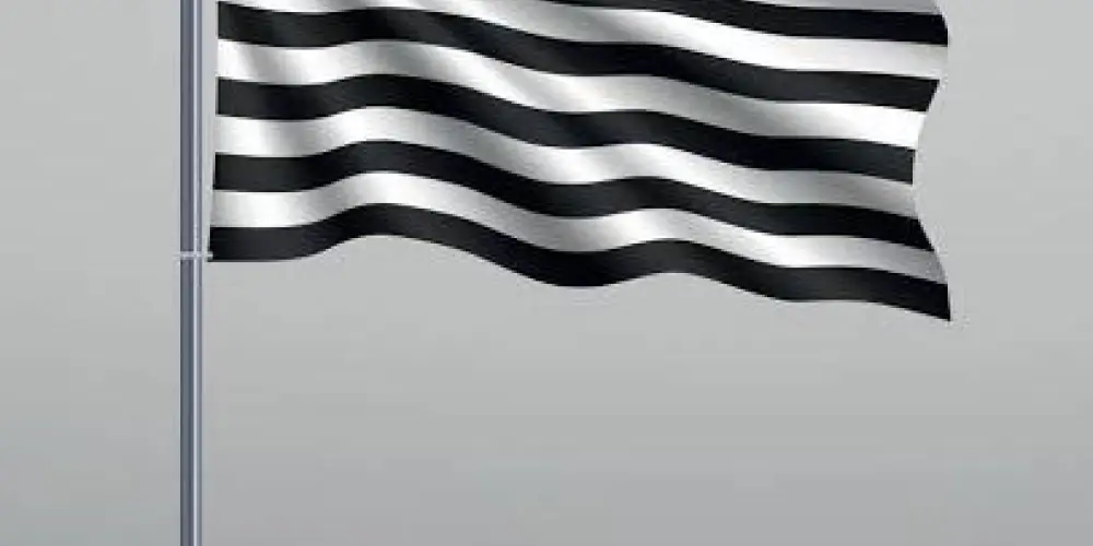 Imagem do grupo de WhatsApp Amigos de SP