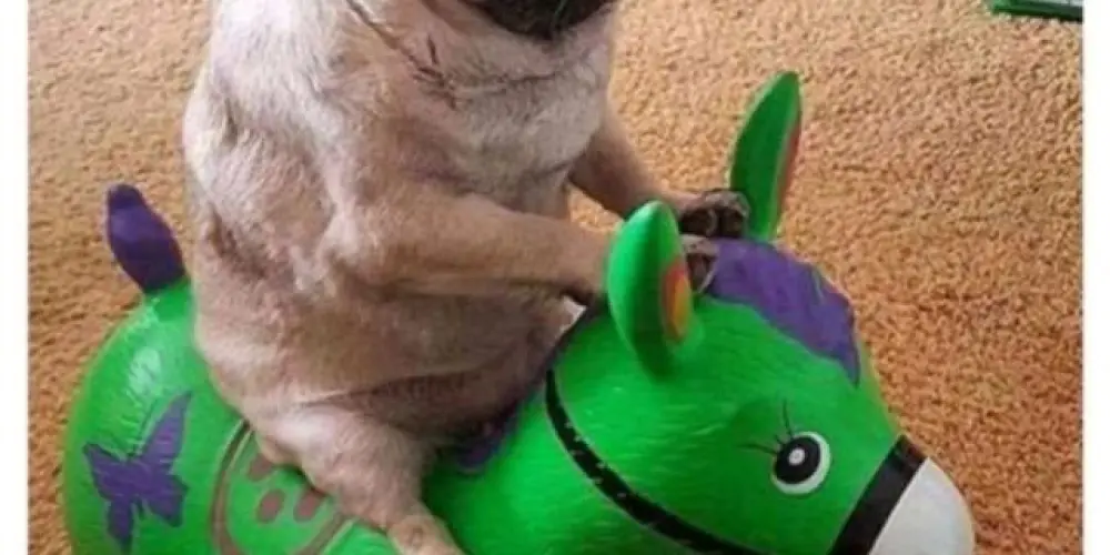 Imagem do grupo de WhatsApp Amigos desocupados