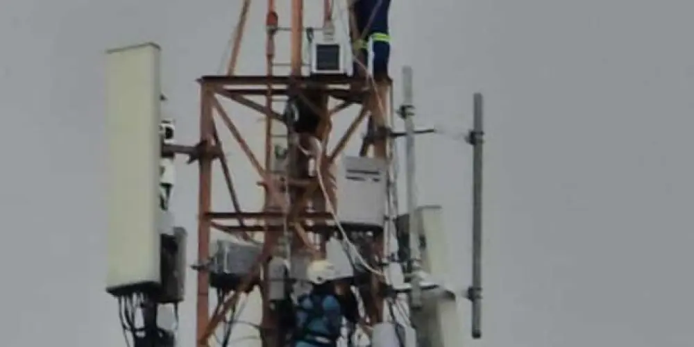 Imagem do grupo de WhatsApp Amigos do Amazonas