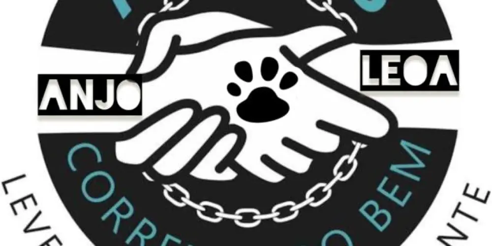 Imagem do grupo de WhatsApp 🧡Amigos do Bem🧡