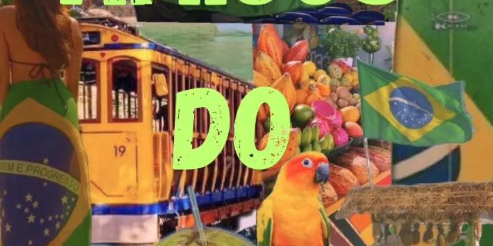 Imagem do grupo de WhatsApp Amigos do Brasil 🇧🇷