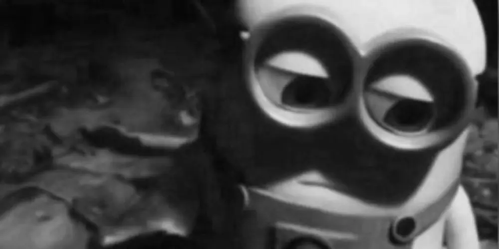 Imagem do grupo de WhatsApp Amigos do ig 🏄🏻‍♀️😝