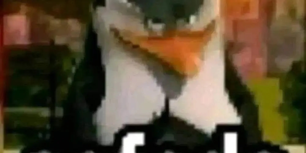 Imagem do grupo de WhatsApp Amigos do prazer