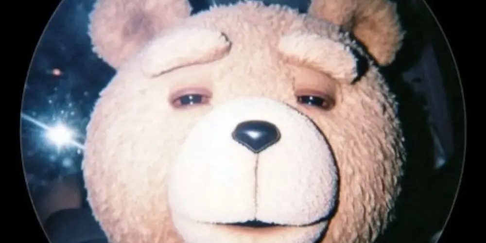 Imagem do grupo de WhatsApp Amigos do teddy