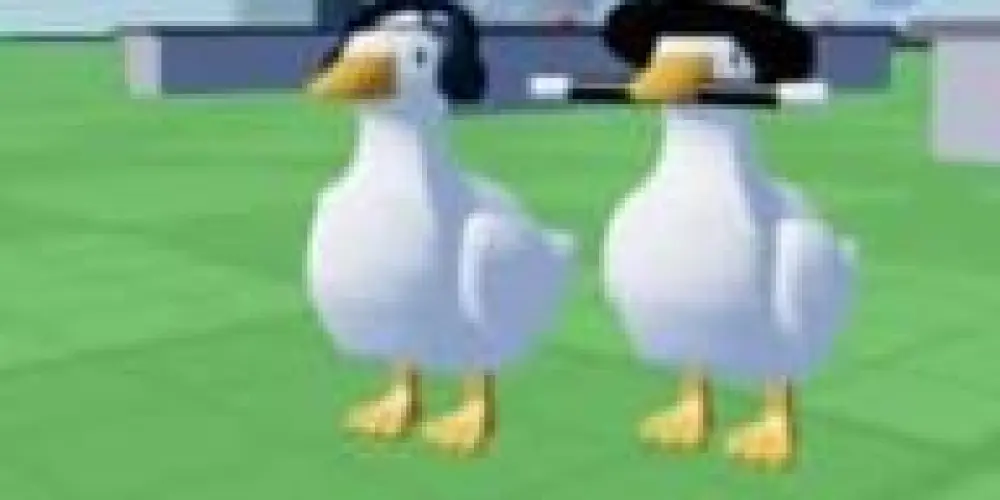 Imagem do grupo de WhatsApp Amigos e patrões